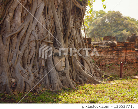 Travel to Ancient City of Ayutthaya, Thailand 126527713