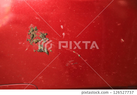 dirty bird shit car for cleaning concept idea 126527737