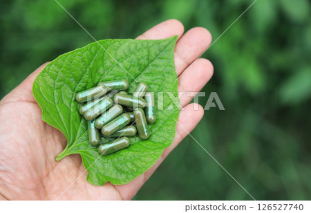 Herbal capsules from green herbal on leaf for healthy eating in daily life 126527740