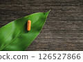 Herbal capsules from yellow tumeric on leaf for healthy eating in daily life 126527866