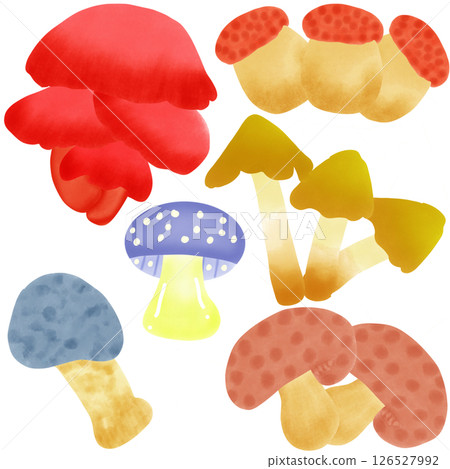 Mushrooms  126527992