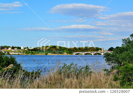 Chiba Prefecture, Lake Teganuma, Teganuma Bridge 126528007