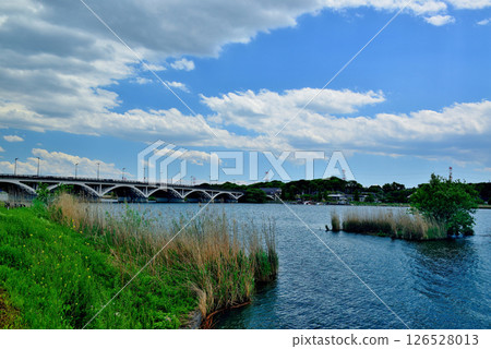 千葉縣手賀沼橋、手賀沼湖 126528013