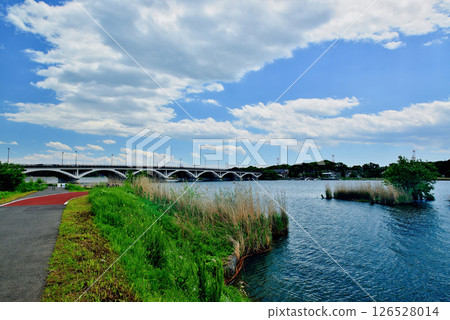千葉縣手賀沼橋、手賀沼湖 126528014