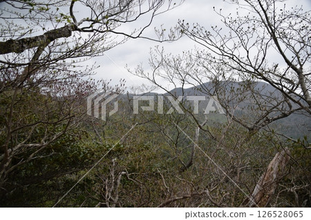 越山/大釋森山 越山/大釋森山 126528065