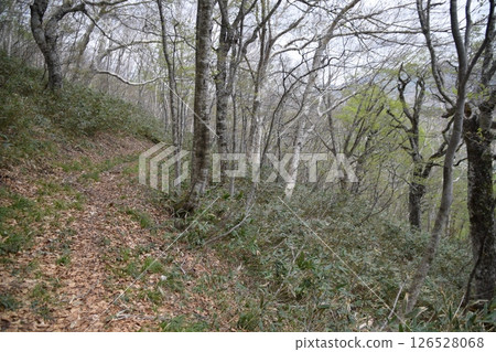 越山/大釋森山 越山/大釋森山 126528068