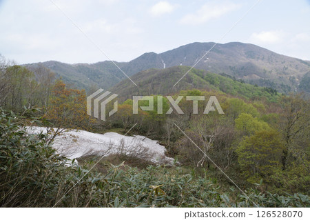 越山/大釋森山 越山/大釋森山 126528070