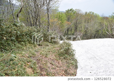 越山/大釋森山 越山/大釋森山 126528072