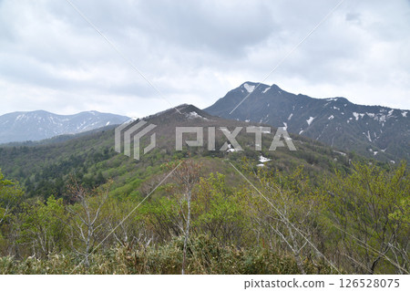 越山/大釋森山 越山/大釋森山 126528075