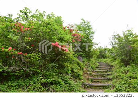 高芝山 高芝山 126528223