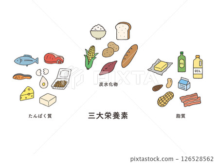 含有三大營養素的食物手繪插畫集 含有三大營養素的食物手繪插畫集 126528562