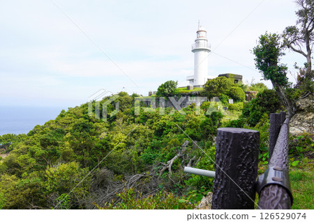 Tsurumisaki Lighthouse (Tsurumisaki Natural Park, the easternmost point of Kyushu) 126529074
