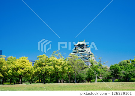 Fresh green Osaka Castle 126529101