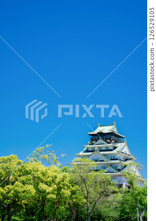 Fresh green Osaka Castle 126529105