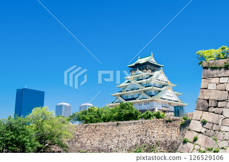 新鮮的綠色大阪城堡 126529106