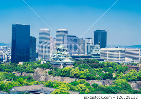 Fresh green Osaka Castle 126529118