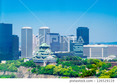 Fresh green Osaka Castle 126529119