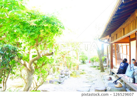 奈良新藥師寺境內的風景 奈良新藥師寺境內的風景 126529607