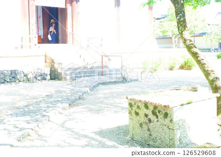 奈良新藥師寺境內的風景 奈良新藥師寺境內的風景 126529608