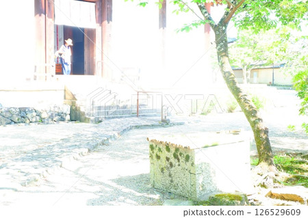 奈良新藥師寺境內的風景 奈良新藥師寺境內的風景 126529609