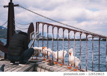 [Nagisa Park] Beautiful birds 126529615
