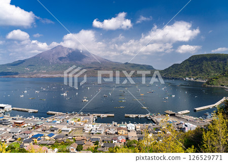 <鹿兒島縣>櫻島的風景和從尼科瞭望台眺望的景色 <鹿兒島縣>櫻島的風景和從尼科瞭望台眺望的景色 126529771