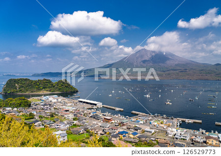 <鹿兒島縣>櫻島的風景和從尼科瞭望台眺望的景色 <鹿兒島縣>櫻島的風景和從尼科瞭望台眺望的景色 126529773