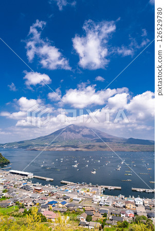 <鹿兒島縣>櫻島的風景和從尼科瞭望台眺望的景色 126529780