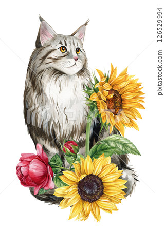 Watercolor Maine Coon Cat with Sunflowers and Pink Rose, Floral Botanical Cat Art, Cute Pet Illustration Isolated White 126529994