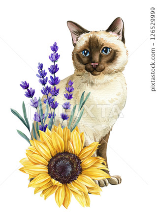Cute Siamese Cat and Sunflower Bouquet with Lavender, Watercolor Floral Animal Art, Handpainted Botanical Clipart Cute Siamese Cat and Sunflower Bouquet with Lavender, Watercolor Floral Animal Art, Handpainted Botanical Clipart 126529999