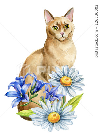 Watercolor cute Cat with Daisies, Bluebell Flowers Hand Painted Floral Animal Illustration Isolated on White Background Watercolor cute Cat with Daisies, Bluebell Flowers Hand Painted Floral Animal Illustration Isolated on White Background 126530002
