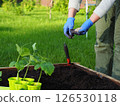 Fertilizer soil cucumber with fingers heart shape 126530118