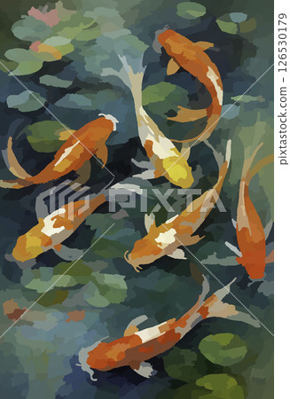 Nishikigoi在池塘里游泳 Nishikigoi在池塘里游泳 126530179