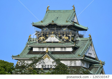 Early morning: Osaka Castle tower before visitors enter the observation deck (photo by Fix) 126530347
