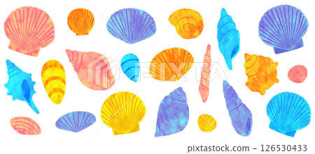 Colorful seashell illustration set vector material 126530433