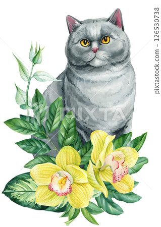 British gray cat with yellow orchid flowers, watercolor floral composition, elegant pet botanical illustration poster 126530738