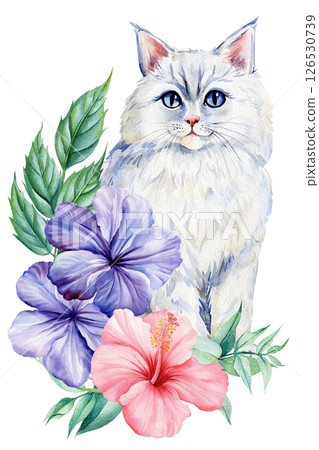 Watercolor white cat with blue eyes, hibiscus and mallow flowers, botanical floral bouquet, spring animal illustration 126530739