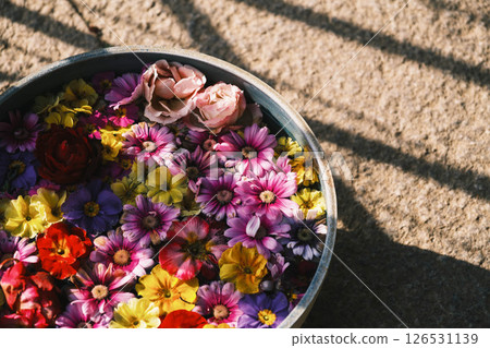 [Ofusa Kannon] Flowers floating on water 126531139