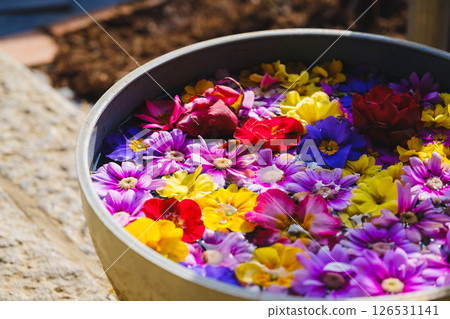 [Ofusa Kannon] Flowers floating on water 126531141