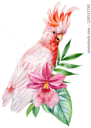 Pink cockatoo parrot and tropical orchid flower watercolor illustration. Exotic bird and botanical leaves, animal print 126531795