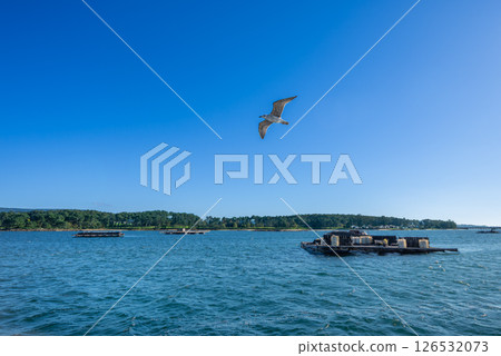 Tranquil Baiona Bay with Boats in Combarro, Spain. 126532073