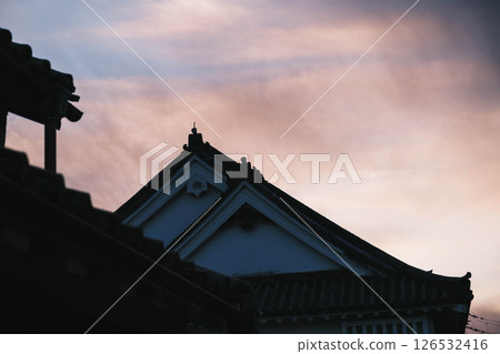 [Imaicho] Nostalgic streetscape 126532416