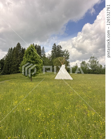 Teepee is in the middle of a field of grass 126532761
