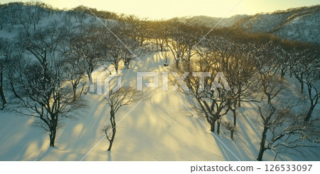 Winter Wonderland Snowy Trees Sunset Aerial View Golden Hour Landscape Photography sky day icy art 126533097