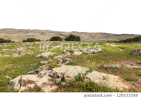 Typical mountain landscape, Jordan, Middle East (photography from a high point). Carved on white background Typical mountain landscape, Jordan, Middle East (photography from a high point). Carved on white background 126533389