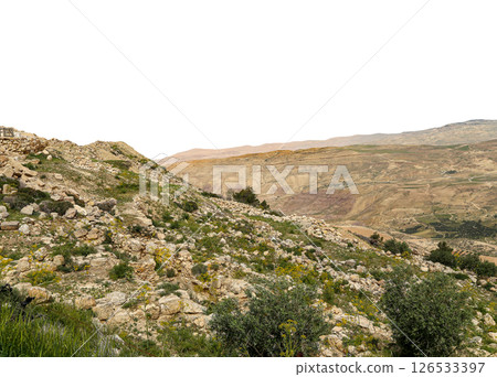 Typical mountain landscape, Jordan, Middle East (photography from a high point). Carved on white background Typical mountain landscape, Jordan, Middle East (photography from a high point). Carved on white background 126533397