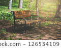 Warm sunlight filters through trees, illuminating a wooden bench with decorative metal legs, offering a quiet spot for contemplation amidst lush greenery in a serene park setting 126534109