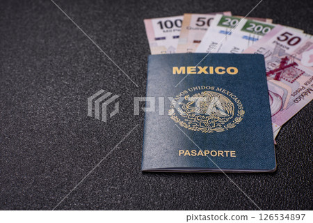 International biometric passport of a citizen of Mexico International biometric passport of a citizen of Mexico 126534897