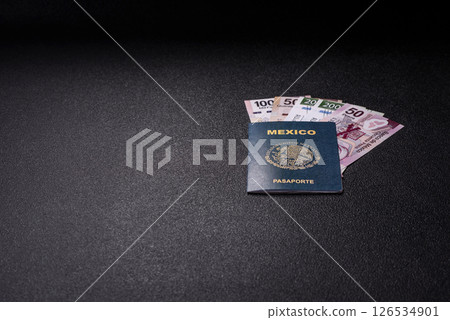 International biometric passport of a citizen of Mexico International biometric passport of a citizen of Mexico 126534901
