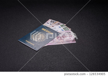 International biometric passport of a citizen of Mexico International biometric passport of a citizen of Mexico 126534905